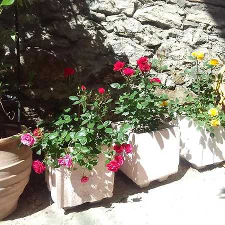 Tiny Escape Appartement
